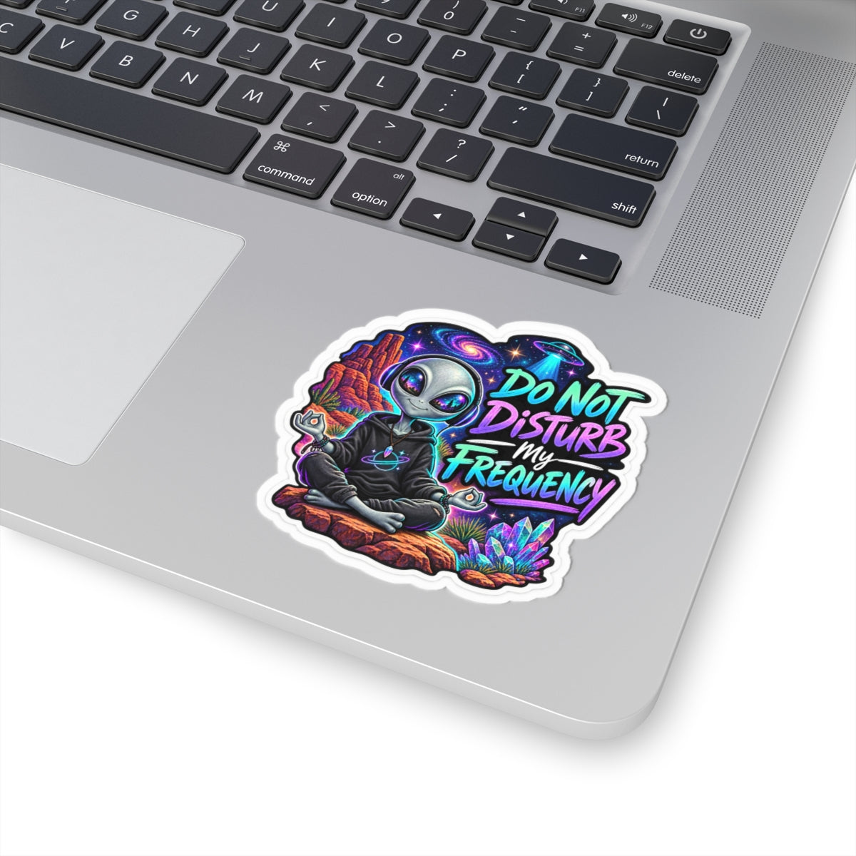 Funny Alien Sticker | Do Not Disturb My Frequency UFO Sticker